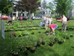 Brookfield Garden Club